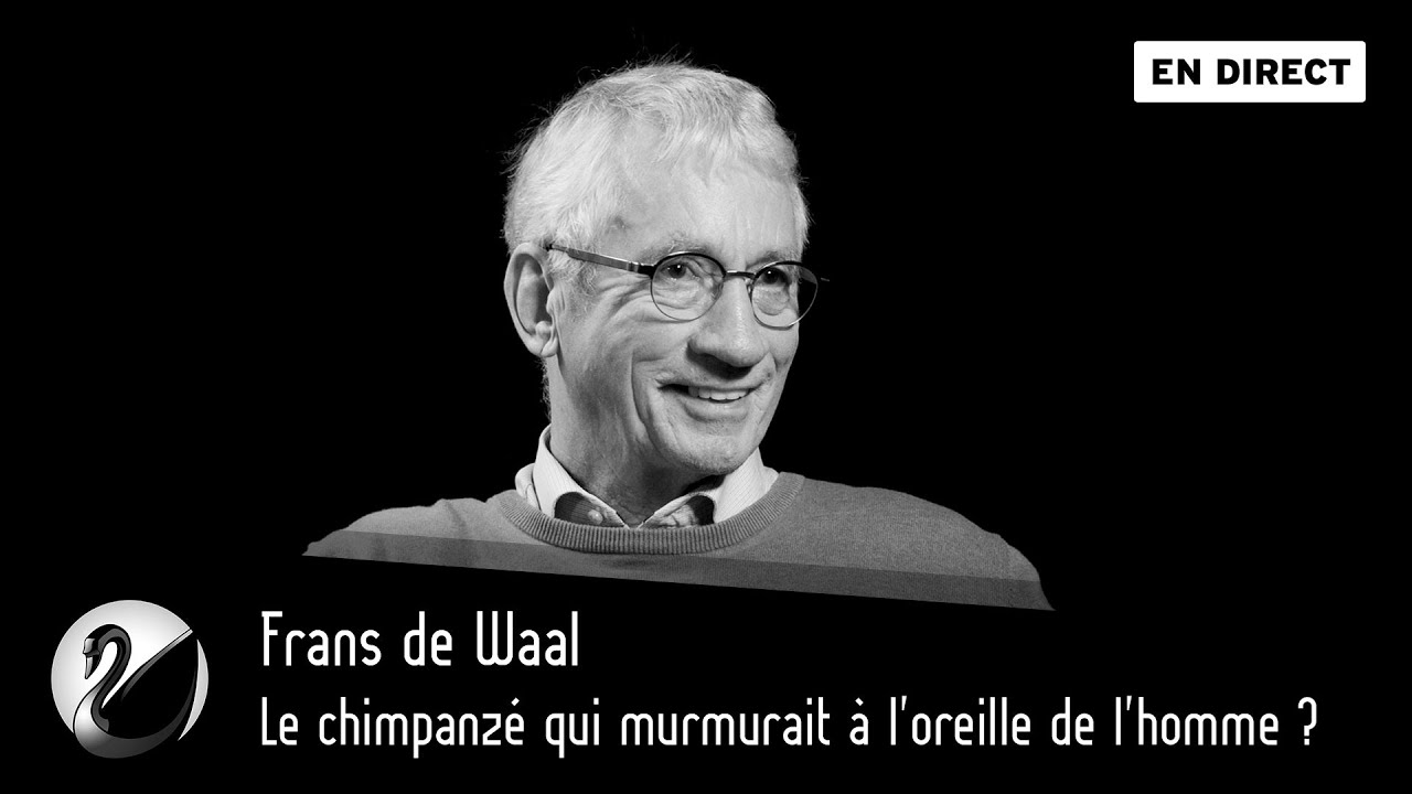 Frans de Waal : Le chimpanzé qui murmurait à l’oreille de l’homme ? - podcast episode cover