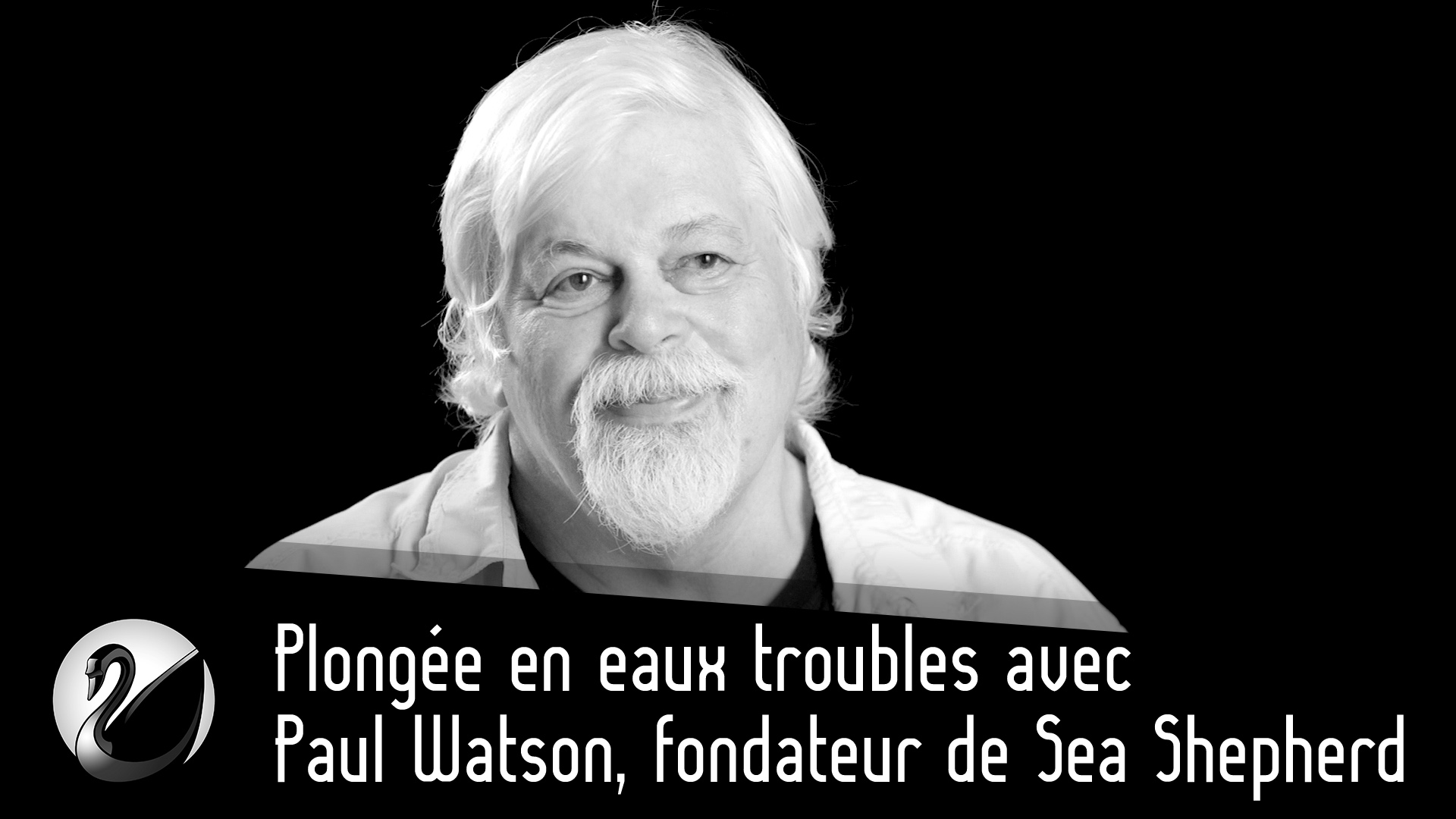 Paul Watson, fondateur de Sea Shepherd : Plongée en eaux troubles - podcast episode cover