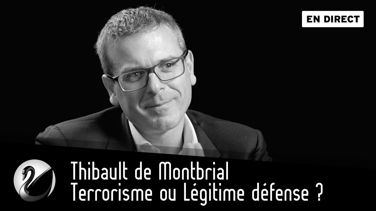 Terrorisme Ou Légitime Défense ? Thibault De Montbrial - Thinkerview