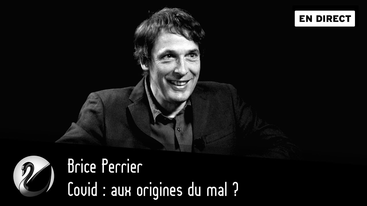 Brice Perrier :Covid : aux origines du mal ? - podcast episode cover