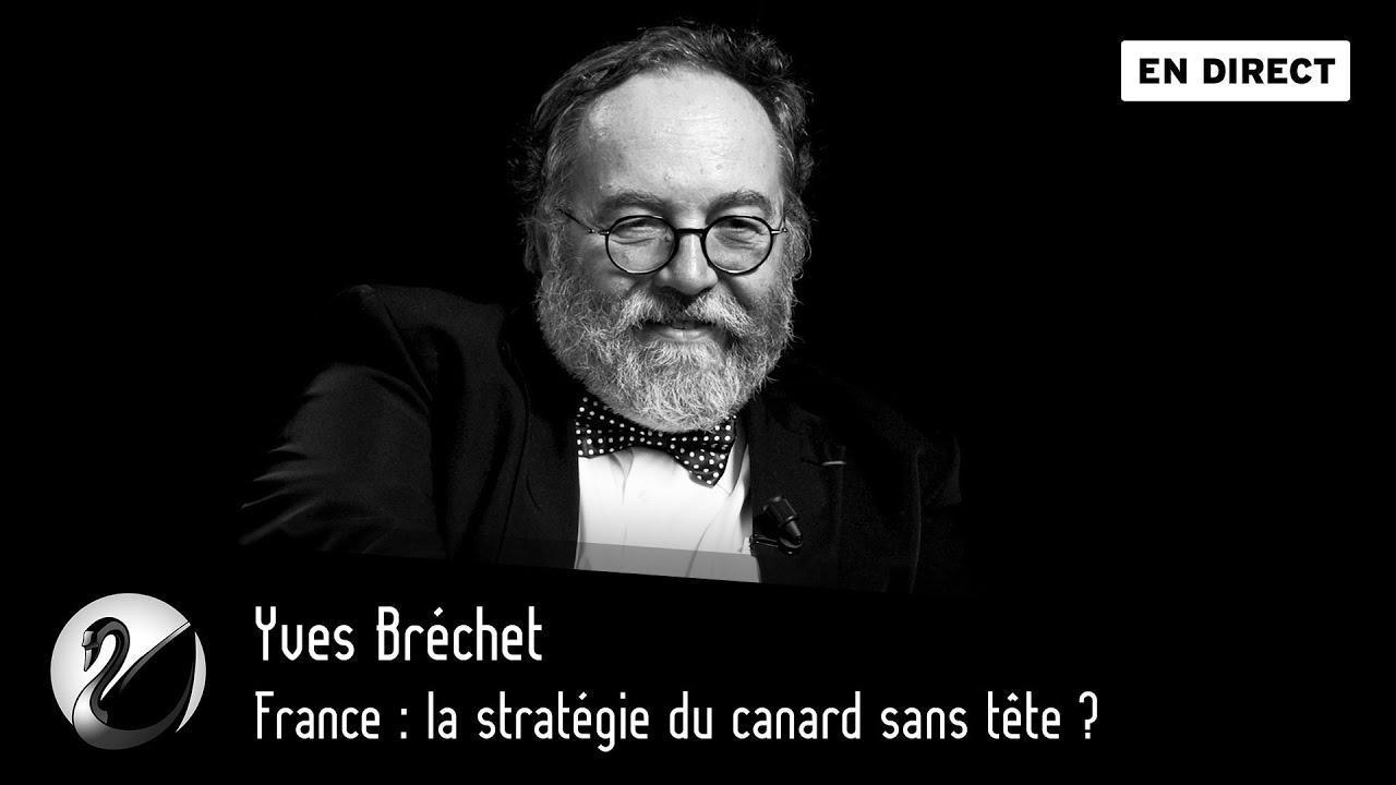 Yves Bréchet : France, la stratégie du canard sans tête ? - podcast episode cover